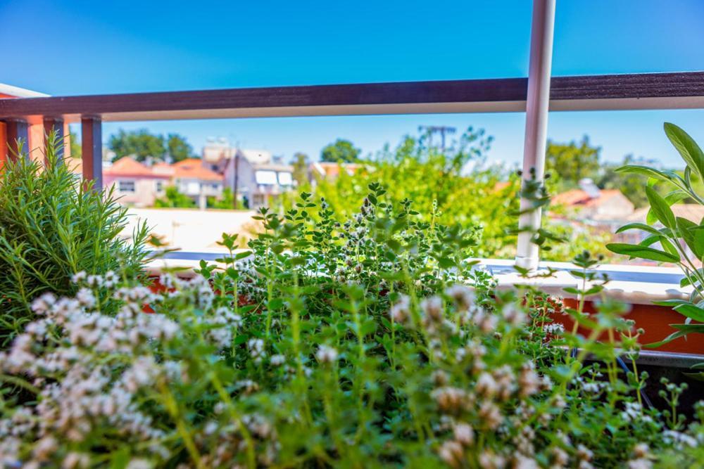 Koukounari Living Spaces Préveza Kültér fotó