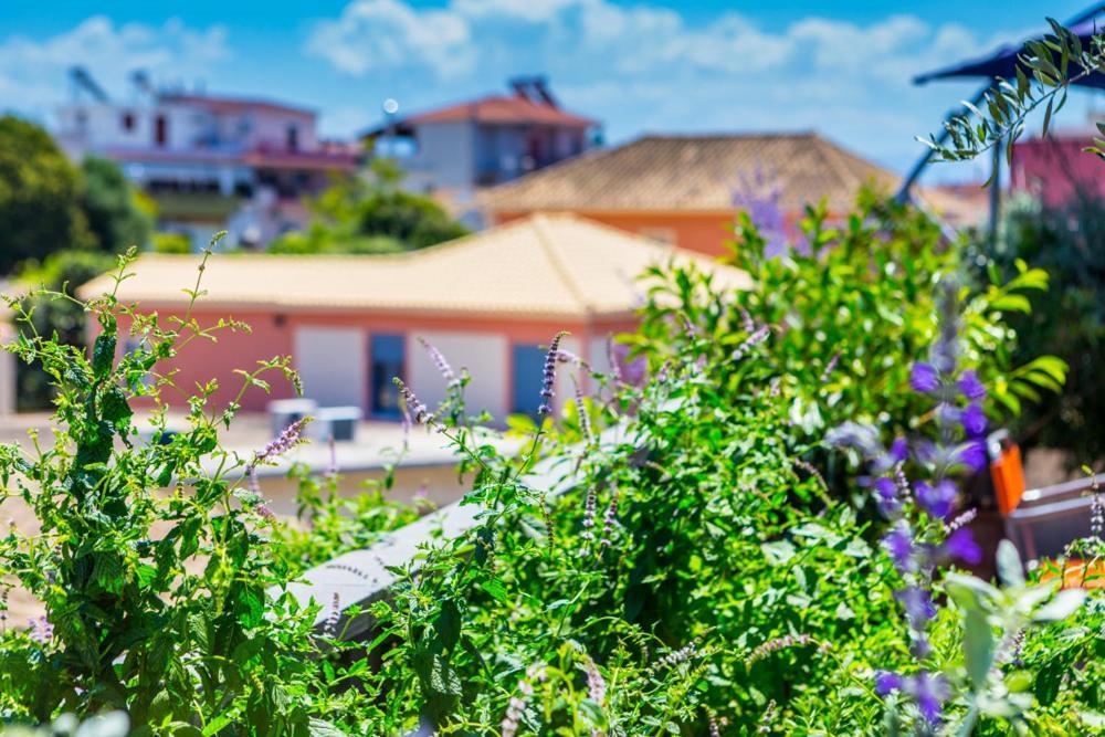 Koukounari Living Spaces Préveza Kültér fotó